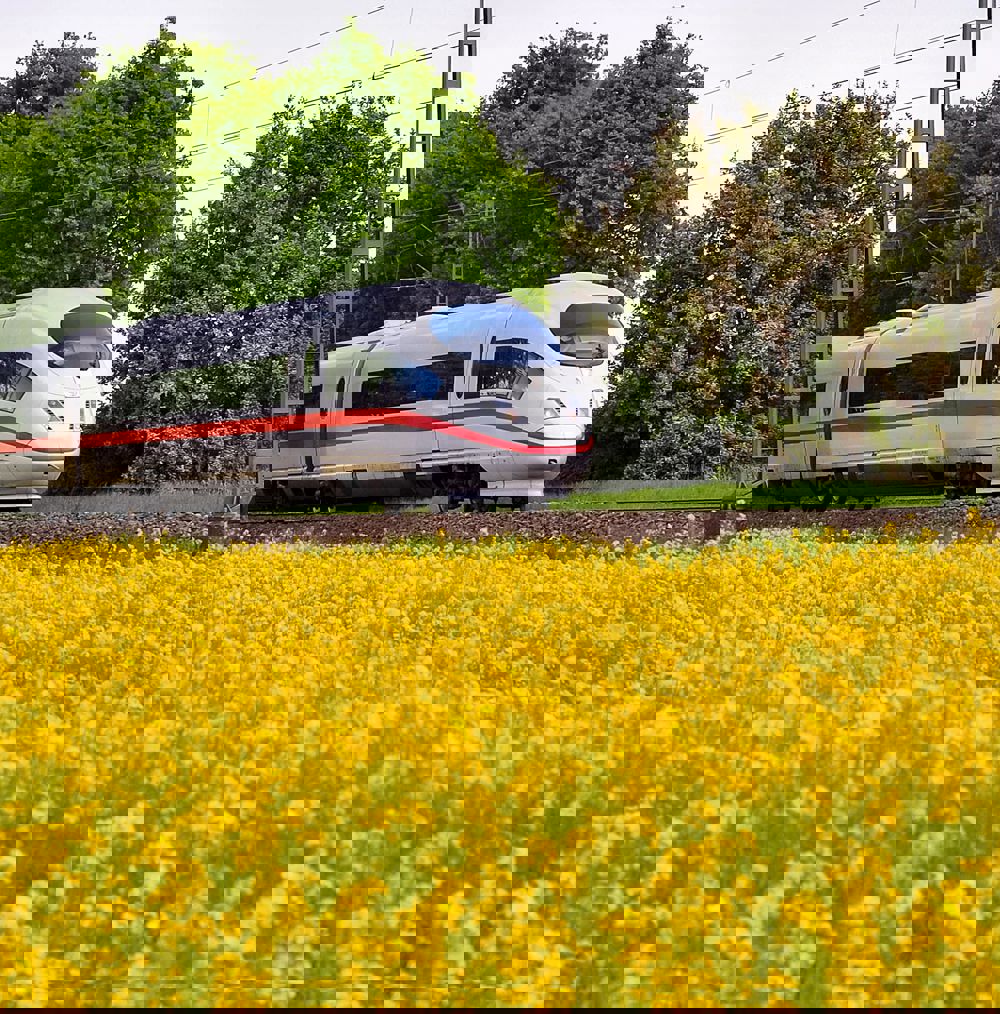 High speed train
